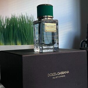 Dolce & Gabbana Velvet Cypress EDP 1.6oz/50ml New in Box
